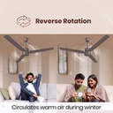 Reo by Havells Unnovate|Remote Controlled|Reverse Rotation Mode| Timer Setting| Low Noise with 2 Year Warranty BLDC Motor 1200 mm Ceiling Fan (Stone Grey) - Photo 3
