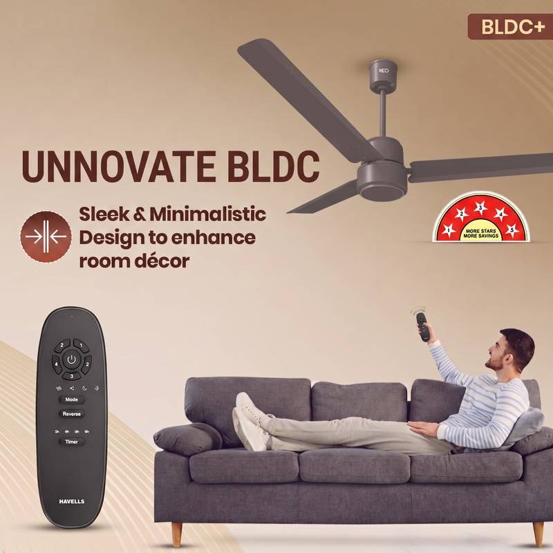 Reo by Havells Unnovate|Remote Controlled|Reverse Rotation Mode| Timer Setting| Low Noise with 2 Year Warranty BLDC Motor 1200 mm Ceiling Fan (Stone Grey) - Photo 4